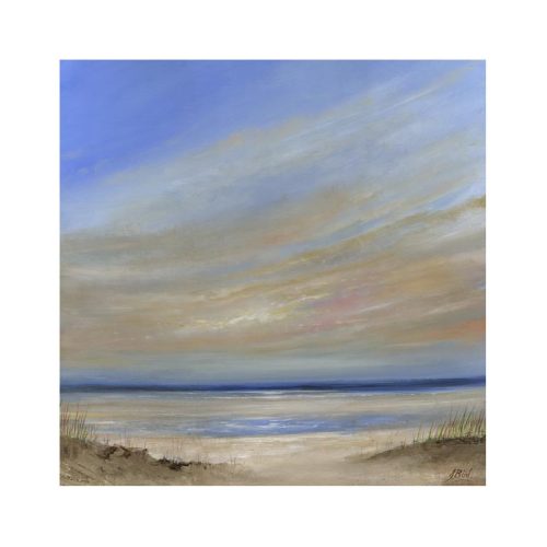 Silent Tide by John Bird