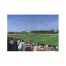 Belle Vue 1922 - 2006 - Doncaster Rovers by John Bird