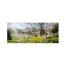 Springtime Wharfdale by John Wood
