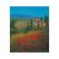 Poppies 2 by John Wood