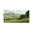 Wensley Dale by John Wood