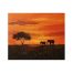 Elephants by John Wood