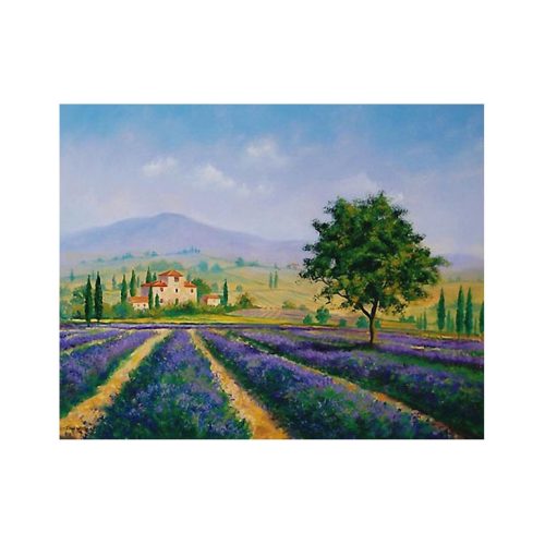 Lavender Farm by John Wood